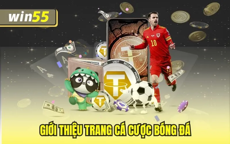Trang Cá Cược Bóng Đá – Trải Nghiệm Đỉnh Cao & Xanh Chín