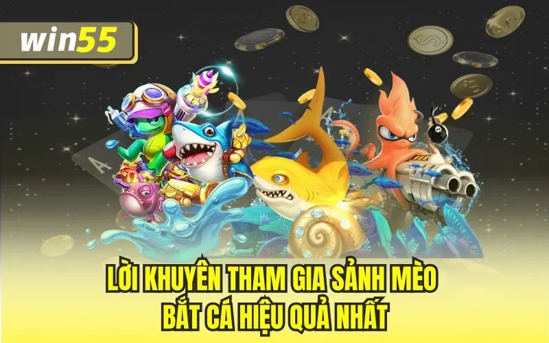 Lời khuyên tham gia sảnh mèo bắt cá hiệu quả nhất 